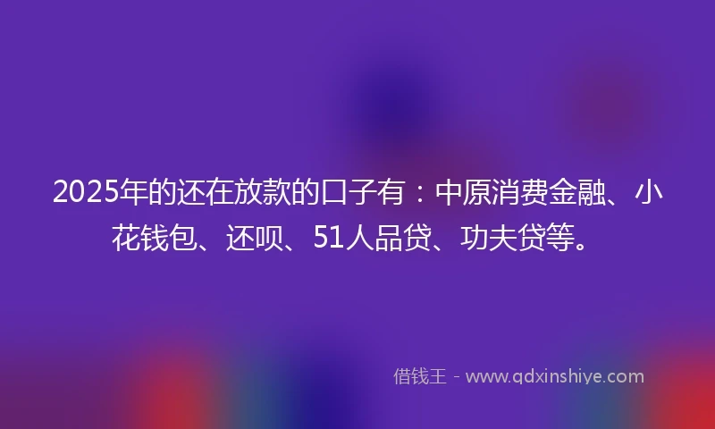 2025年的还在放款的口子有:中原消费金融、小花钱包、还呗、51人品贷、功夫贷等。