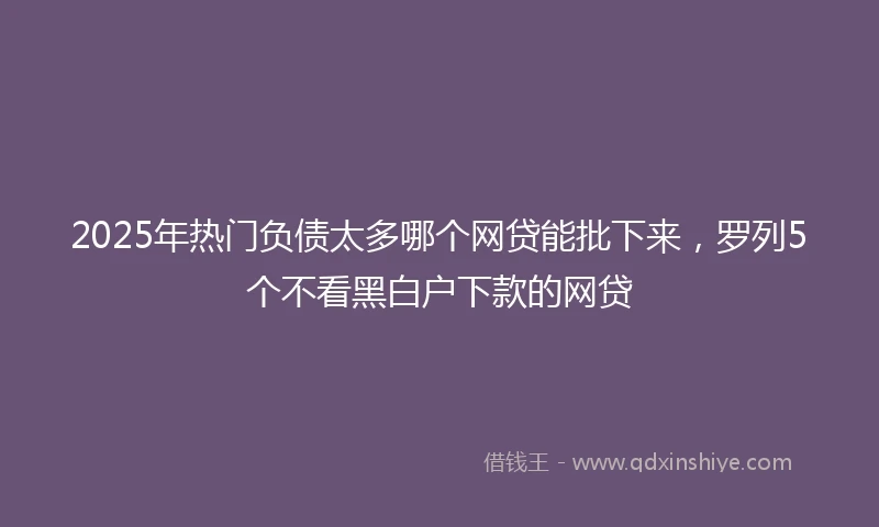 2025年热门负债太多哪个网贷能批下来，罗列5个不看黑白户下款的网贷