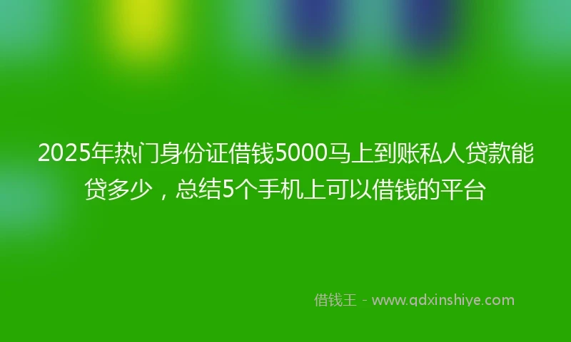 2025年热门身份证借钱5000马上到账私人贷款能贷多少，总结5个手机上可以借钱的平台