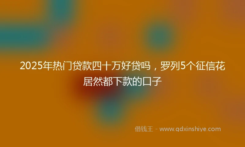 2025年热门贷款四十万好贷吗，罗列5个征信花居然都下款的口子