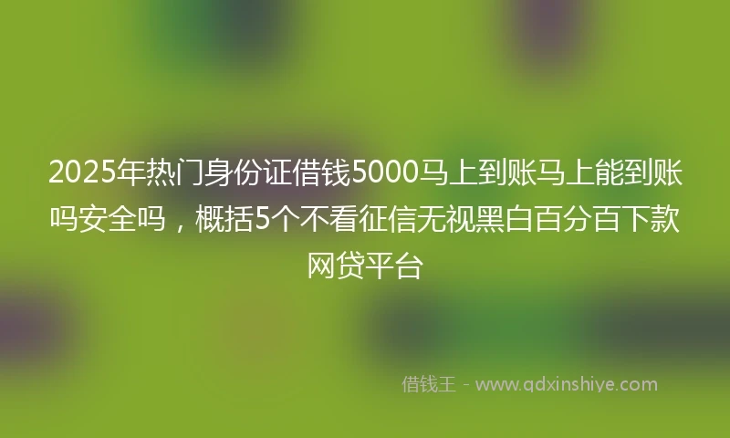 2025年热门身份证借钱5000马上到账马上能到账吗安全吗，概括5个不看征信无视黑白百分百下款网贷平台