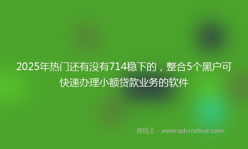2025年热门还有没有714稳下的，整合5个黑户可快速办理小额贷款业务的软件