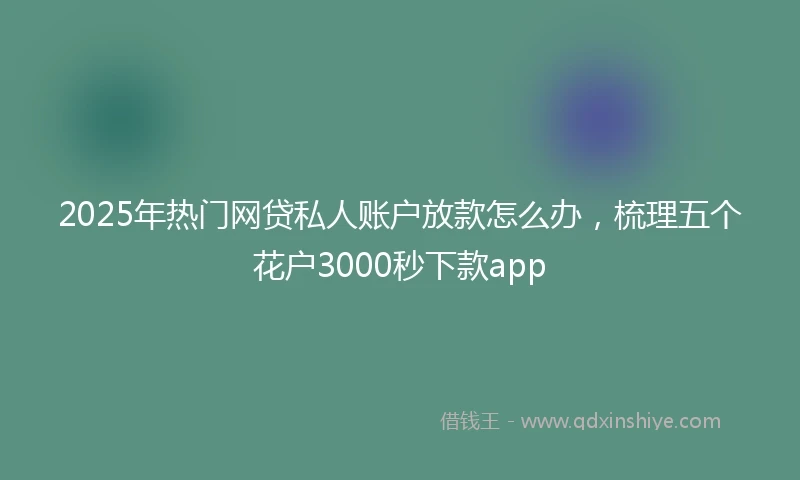 2025年热门网贷私人账户放款怎么办，梳理五个花户3000秒下款app