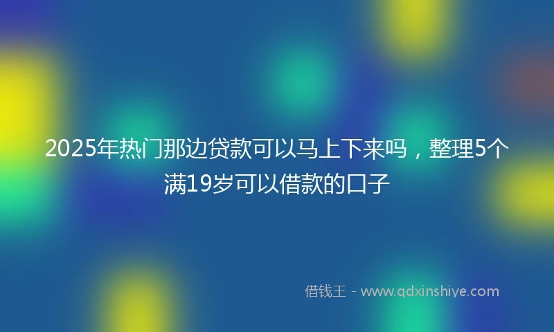2025年热门那边贷款可以马上下来吗，整理5个满19岁可以借款的口子