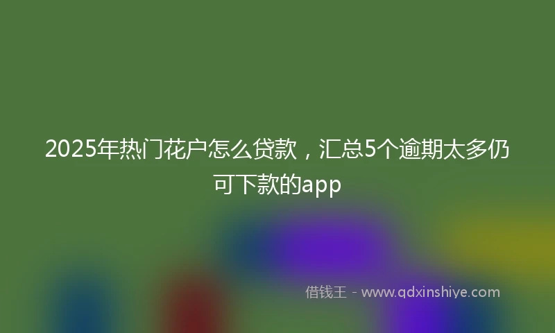 2025年热门花户怎么贷款，汇总5个逾期太多仍可下款的app