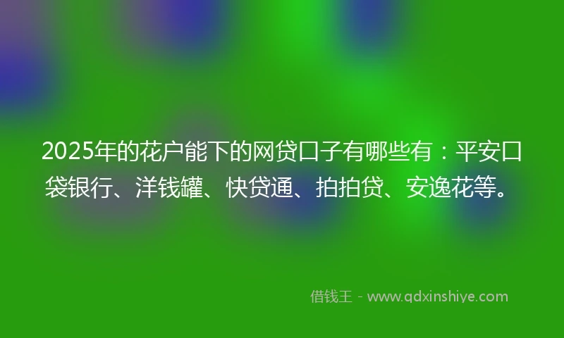 2025年的花户能下的网贷口子有哪些有：平安口袋银行、洋钱罐、快贷通、拍拍贷、安逸花等。