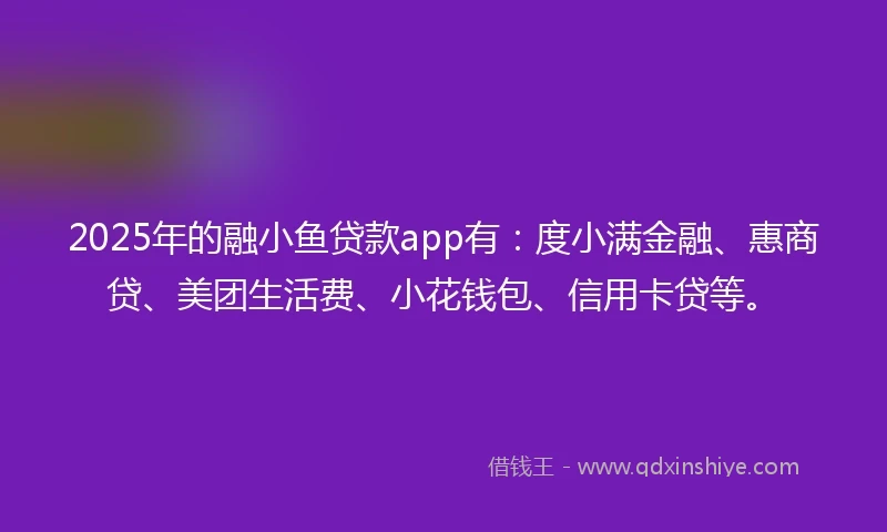 2025年的融小鱼贷款app有：度小满金融、惠商贷、美团生活费、小花钱包、信用卡贷等。