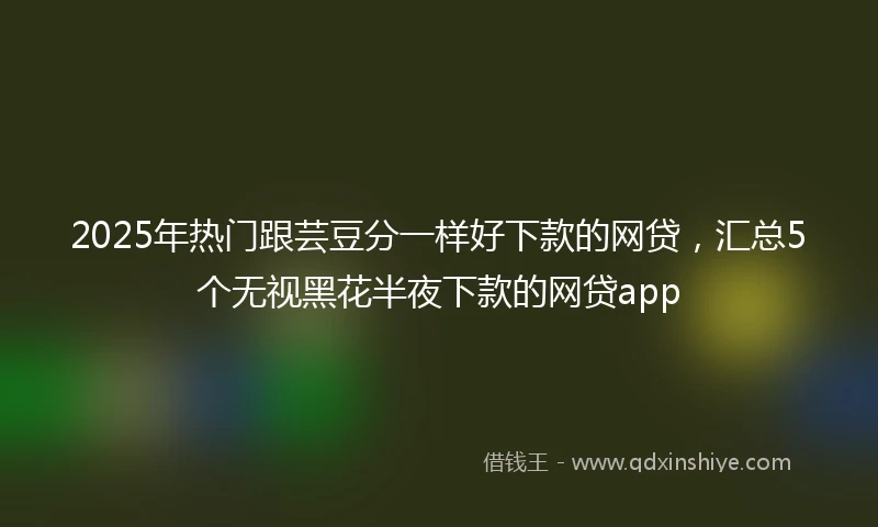 2025年热门跟芸豆分一样好下款的网贷，汇总5个无视黑花半夜下款的网贷app