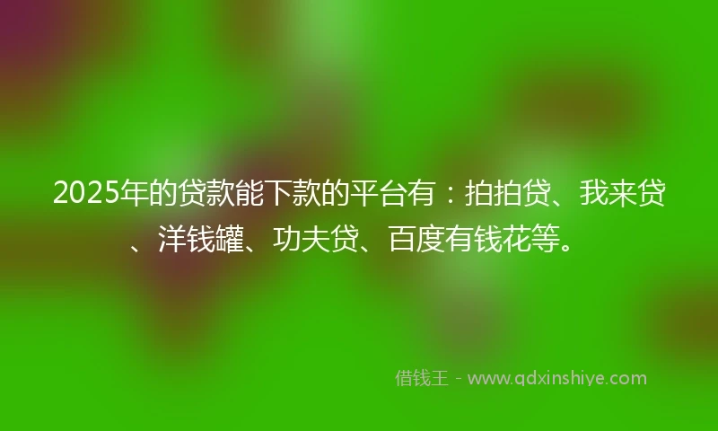 2025年的贷款能下款的平台有：拍拍贷、我来贷、洋钱罐、功夫贷、百度有钱花等。