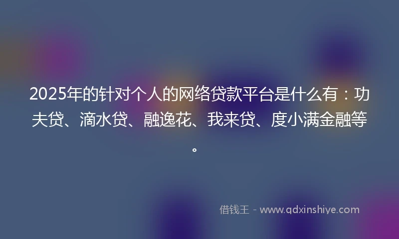 2025年的针对个人的网络贷款平台是什么有：功夫贷、滴水贷、融逸花、我来贷、度小满金融等。