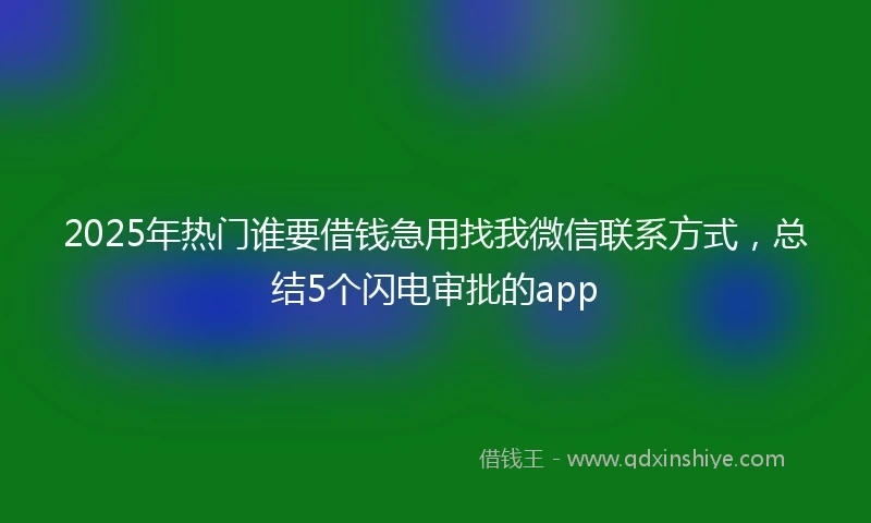 2025年热门谁要借钱急用找我微信联系方式，总结5个闪电审批的app