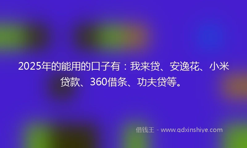 2025年的能用的口子有：我来贷、安逸花、小米贷款、360借条、功夫贷等。