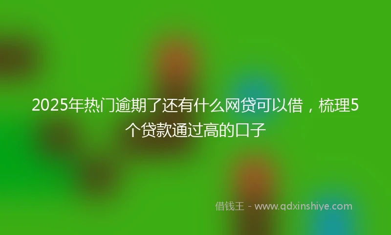 2025年热门逾期了还有什么网贷可以借，梳理5个贷款通过高的口子