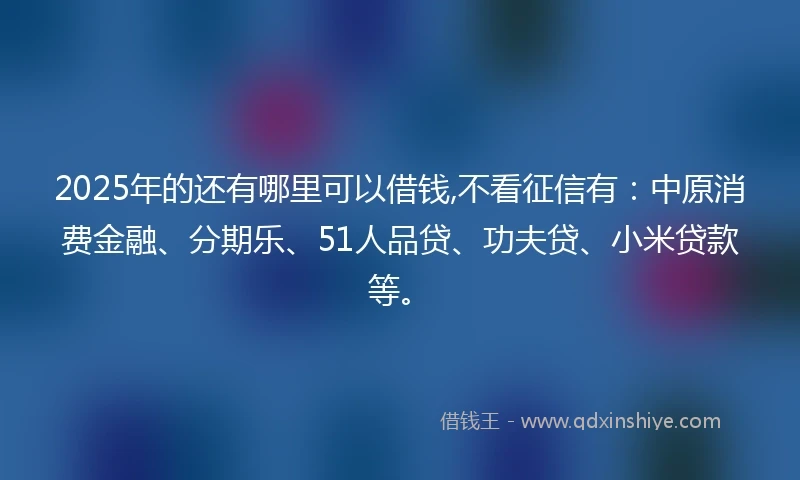 2025年的还有哪里可以借钱,不看征信有：中原消费金融、分期乐、51人品贷、功夫贷、小米贷款等。