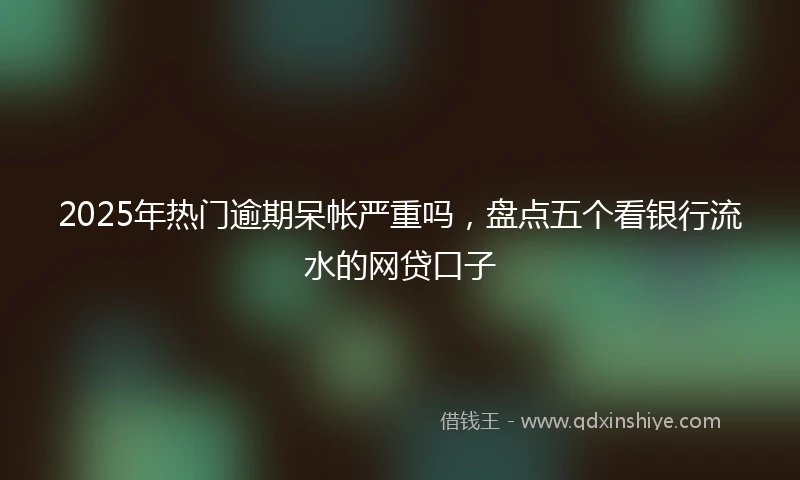 2025年热门逾期呆帐严重吗，盘点五个看银行流水的网贷口子