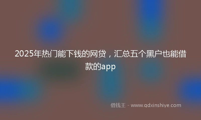 2025年热门能下钱的网贷，汇总五个黑户也能借款的app