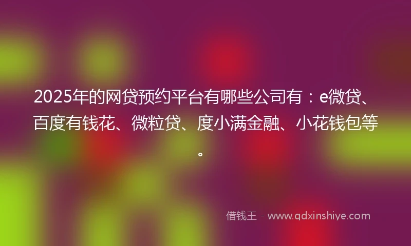 2025年的网贷预约平台有哪些公司有：e微贷、百度有钱花、微粒贷、度小满金融、小花钱包等。