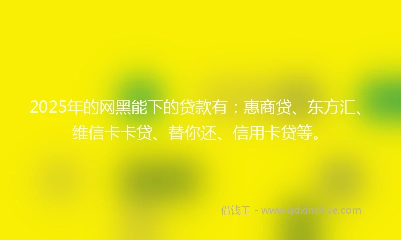 2025年的网黑能下的贷款有：惠商贷、东方汇、维信卡卡贷、替你还、信用卡贷等。
