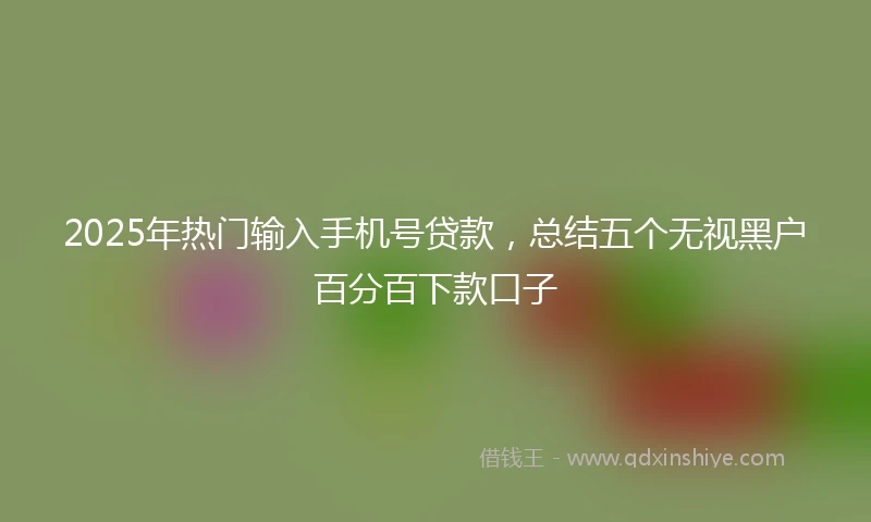 2025年热门输入手机号贷款，总结五个无视黑户百分百下款口子