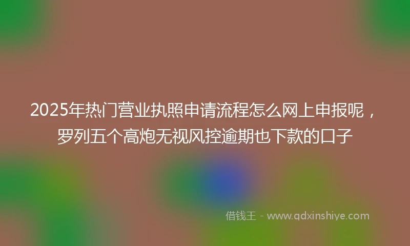 2025年热门营业执照申请流程怎么网上申报呢，罗列五个高炮无视风控逾期也下款的口子