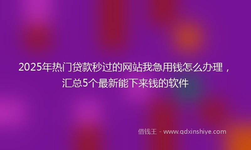 2025年热门贷款秒过的网站我急用钱怎么办理，汇总5个最新能下来钱的软件