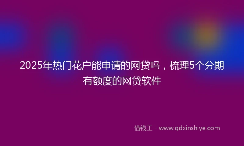 2025年热门花户能申请的网贷吗，梳理5个分期有额度的网贷软件