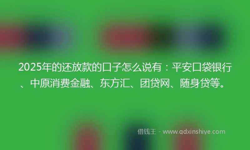 2025年的还放款的口子怎么说有：平安口袋银行、中原消费金融、东方汇、团贷网、随身贷等。