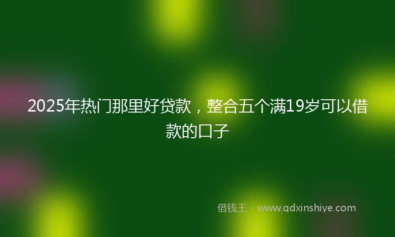 2025年热门那里好贷款，整合五个满19岁可以借款的口子