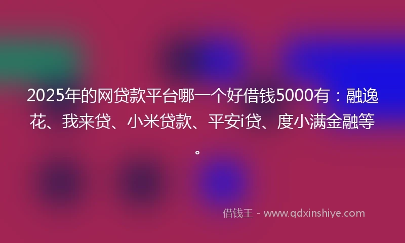 2025年的网贷款平台哪一个好借钱5000有：融逸花、我来贷、小米贷款、平安i贷、度小满金融等。