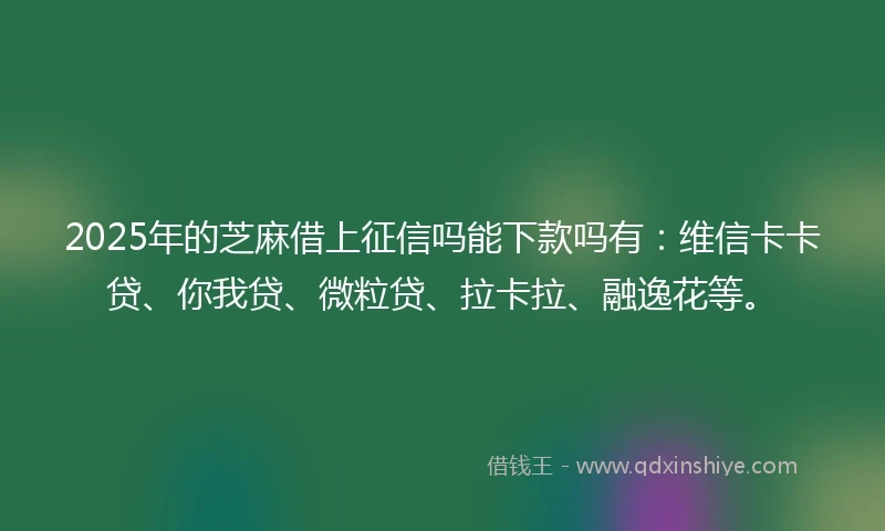 2025年的芝麻借上征信吗能下款吗有：维信卡卡贷、你我贷、微粒贷、拉卡拉、融逸花等。