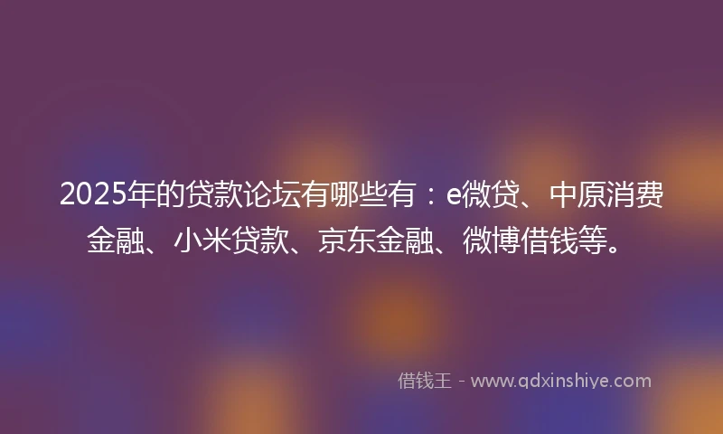 2025年的贷款论坛有哪些有：e微贷、中原消费金融、小米贷款、京东金融、微博借钱等。