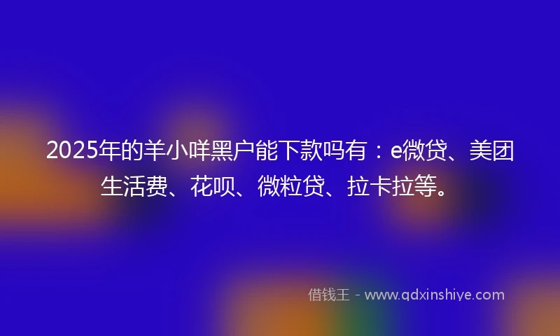 2025年的羊小咩黑户能下款吗有：e微贷、美团生活费、花呗、微粒贷、拉卡拉等。