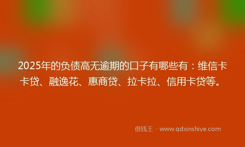 2025年的负债高无逾期的口子有哪些有：维信卡卡贷、融逸花、惠商贷、拉卡拉、信用卡贷等。