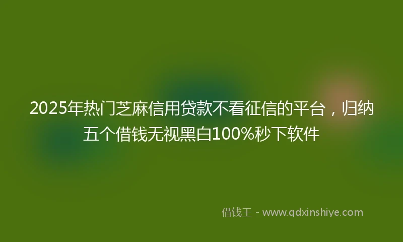 2025年热门芝麻信用贷款不看征信的平台，归纳五个借钱无视黑白100%秒下软件