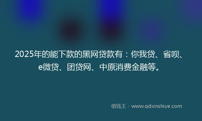 2025年的能下款的黑网贷款有：你我贷、省呗、e微贷、团贷网、中原消费金融等。