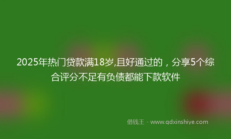 2025年热门贷款满18岁,且好通过的，分享5个综合评分不足有负债都能下款软件