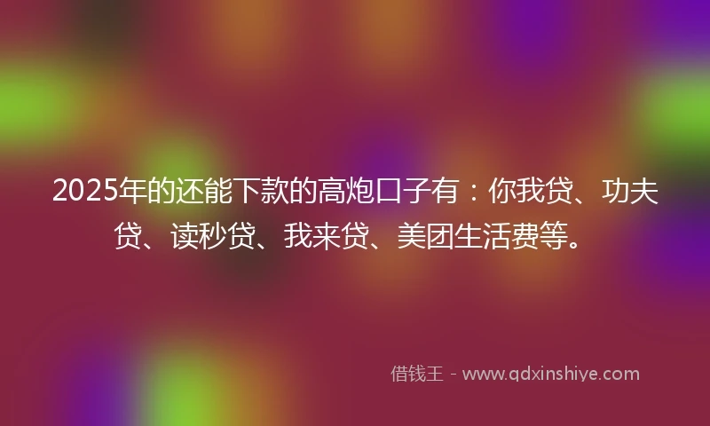 2025年的还能下款的高炮口子有：你我贷、功夫贷、读秒贷、我来贷、美团生活费等。
