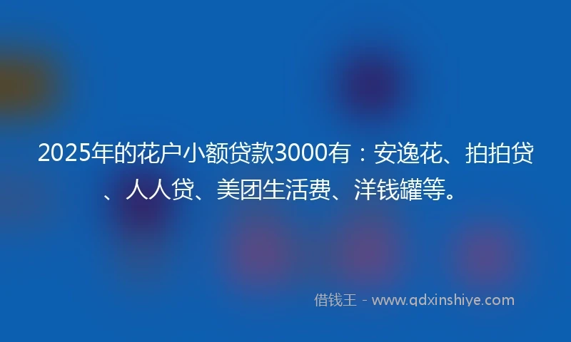 2025年的花户小额贷款3000有：安逸花、拍拍贷、人人贷、美团生活费、洋钱罐等。