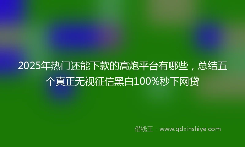 2025年热门还能下款的高炮平台有哪些，总结五个真正无视征信黑白100%秒下网贷