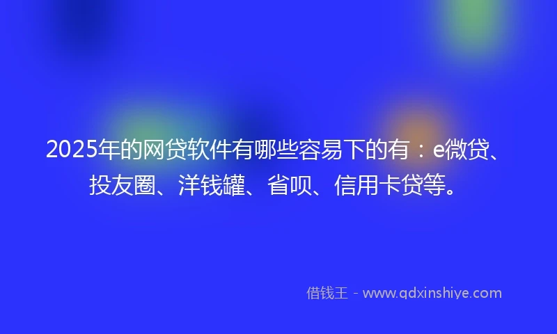 2025年的网贷软件有哪些容易下的有：e微贷、投友圈、洋钱罐、省呗、信用卡贷等。