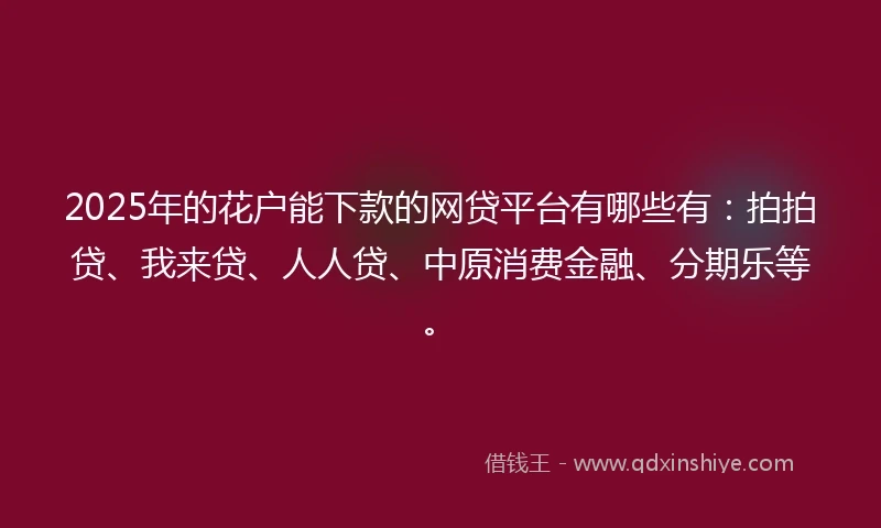 2025年的花户能下款的网贷平台有哪些有：拍拍贷、我来贷、人人贷、中原消费金融、分期乐等。