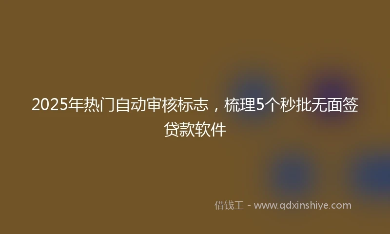 2025年热门自动审核标志，梳理5个秒批无面签贷款软件
