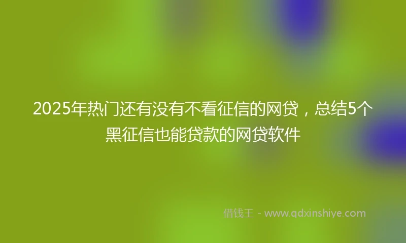 2025年热门还有没有不看征信的网贷，总结5个黑征信也能贷款的网贷软件