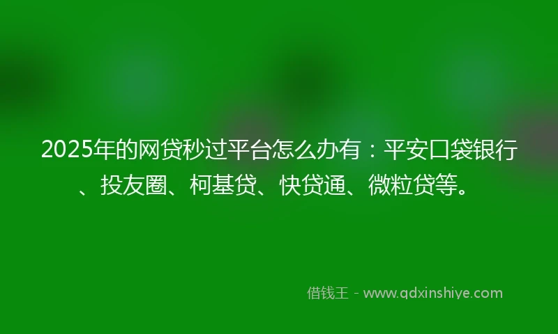 2025年的网贷秒过平台怎么办有：平安口袋银行、投友圈、柯基贷、快贷通、微粒贷等。