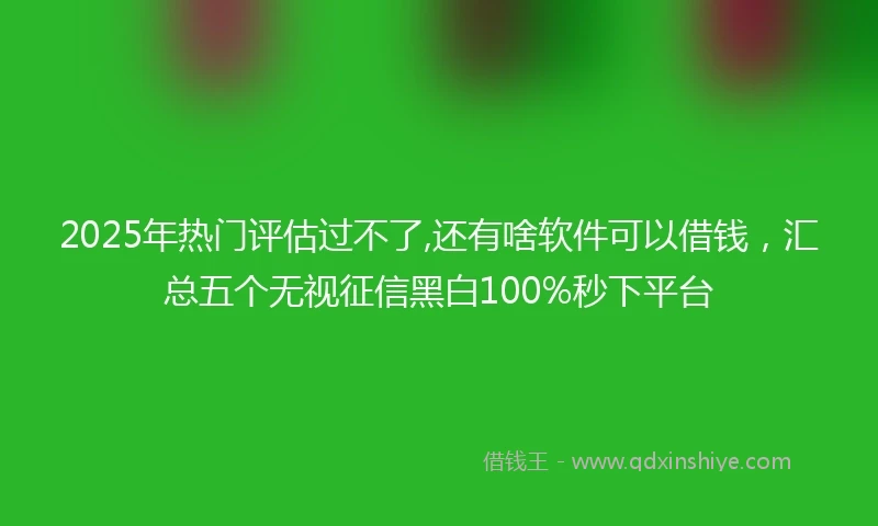 2025年热门评估过不了,还有啥软件可以借钱，汇总五个无视征信黑白100%秒下平台