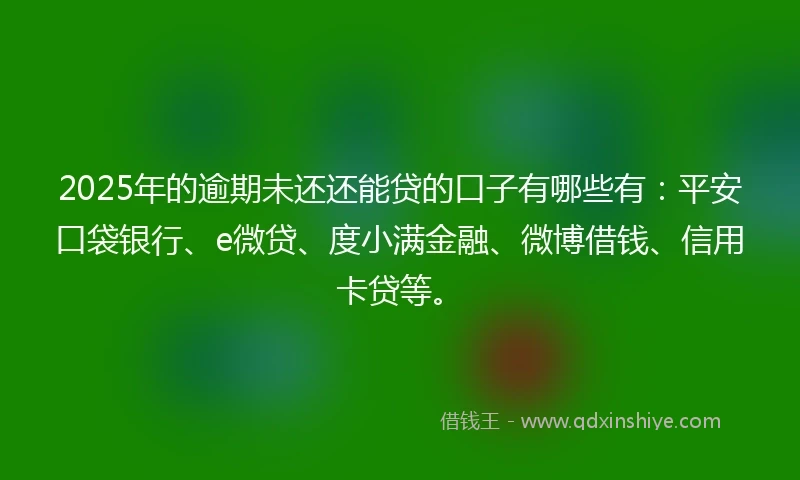 2025年的逾期未还还能贷的口子有哪些有:平安口袋银行、e微贷、度小满金融、微博借钱、信用卡贷等。