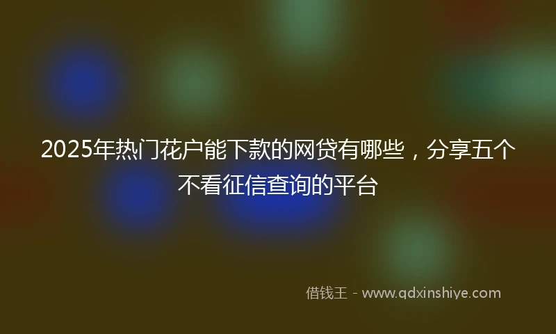 2025年热门花户能下款的网贷有哪些，分享五个不看征信查询的平台