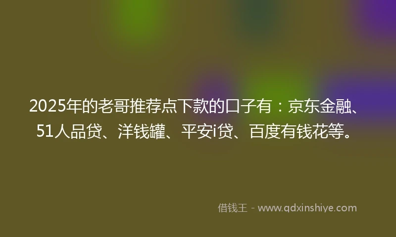 2025年的老哥推荐点下款的口子有：京东金融、51人品贷、洋钱罐、平安i贷、百度有钱花等。