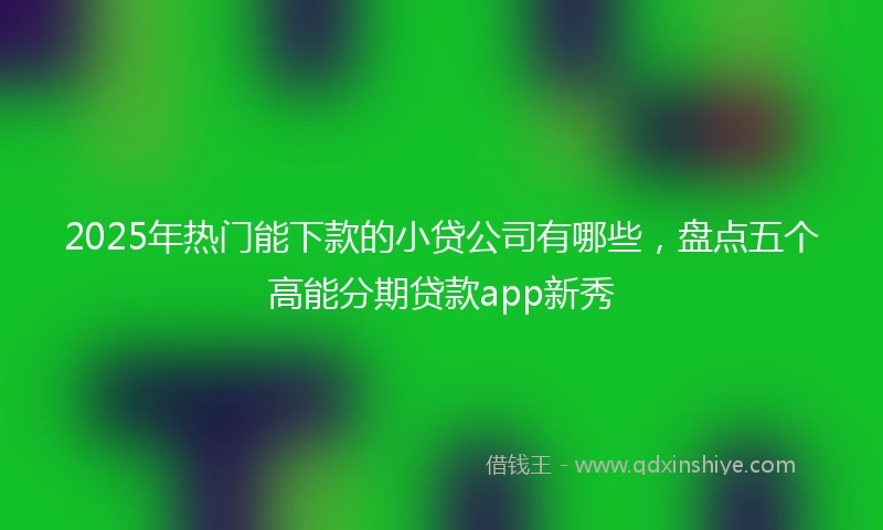 2025年热门能下款的小贷公司有哪些，盘点五个高能分期贷款app新秀