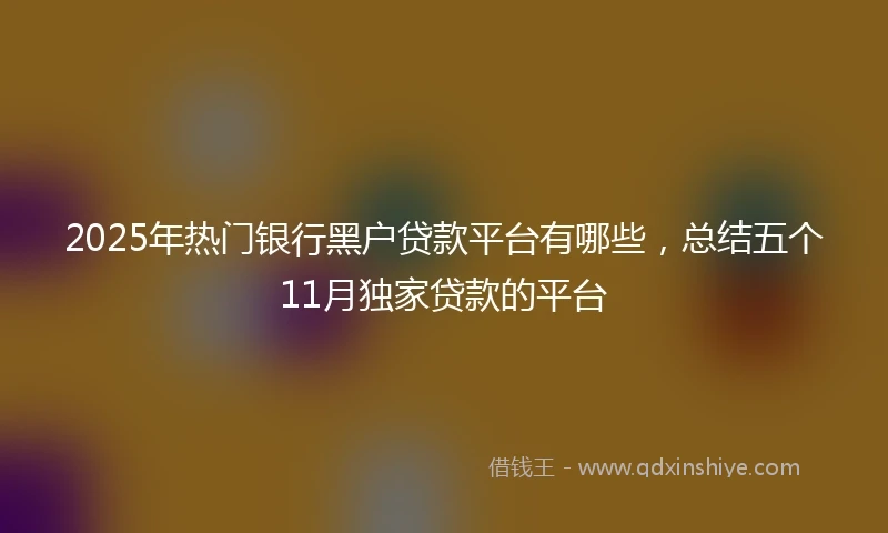2025年热门银行黑户贷款平台有哪些，总结五个11月独家贷款的平台